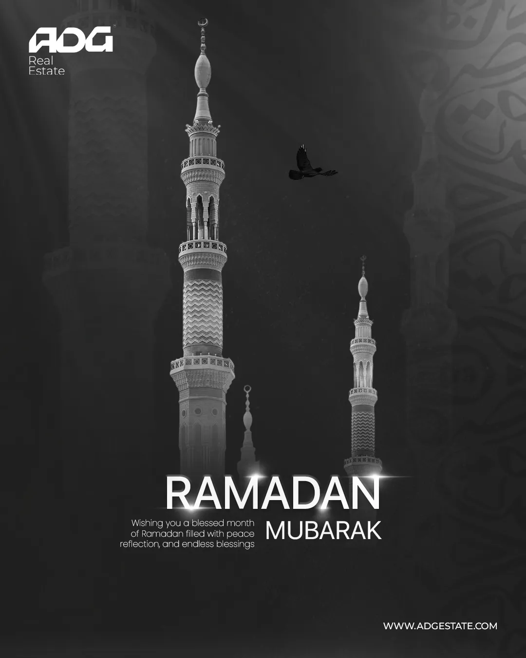 إيه دي جي العقارية — 62
