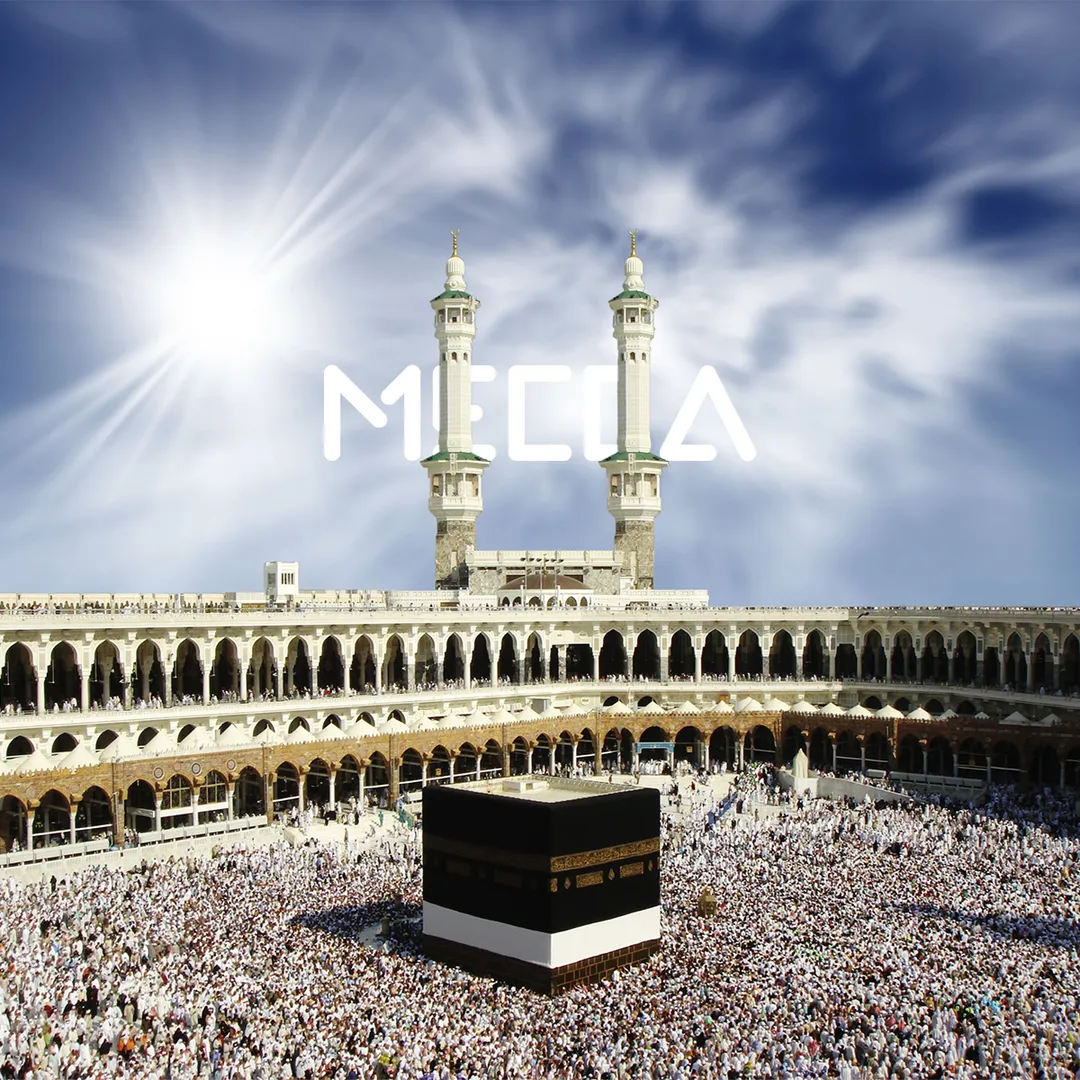 المهندس للسياحة — 41
