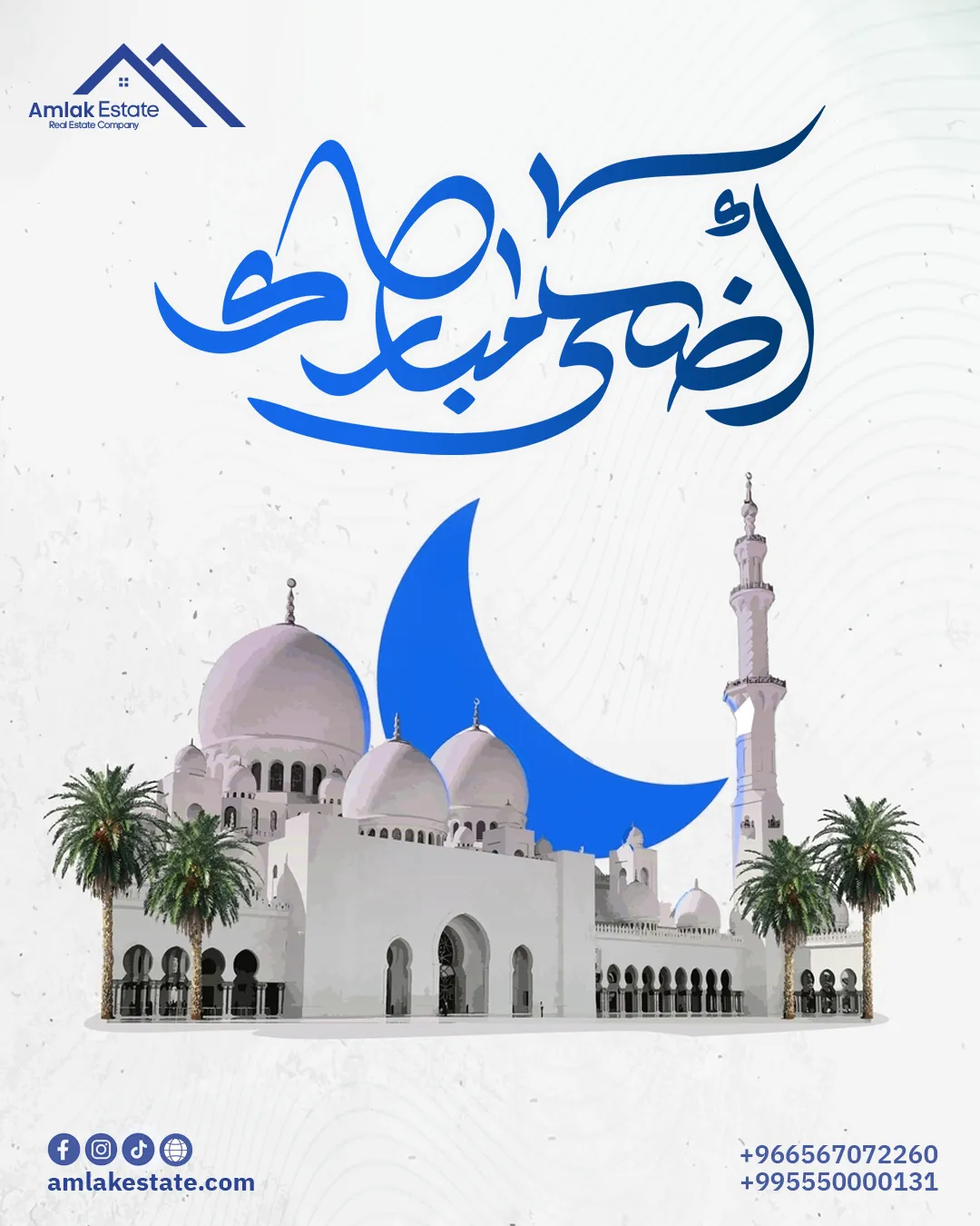 أملاك العقارية — بعد التجديد — 13