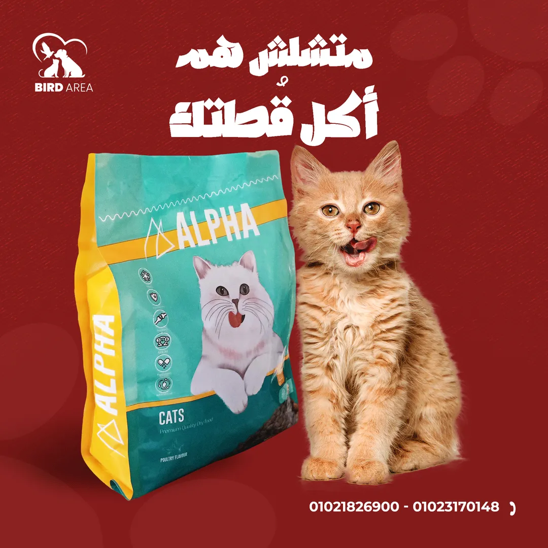 بيرد إيريا — 10