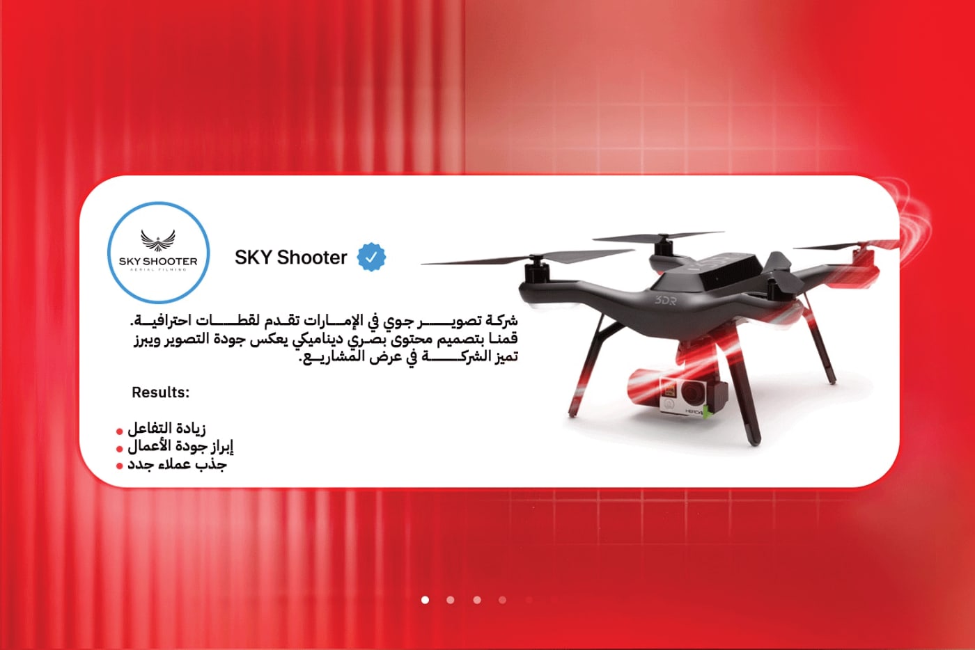 الملف التعريفي — 13
