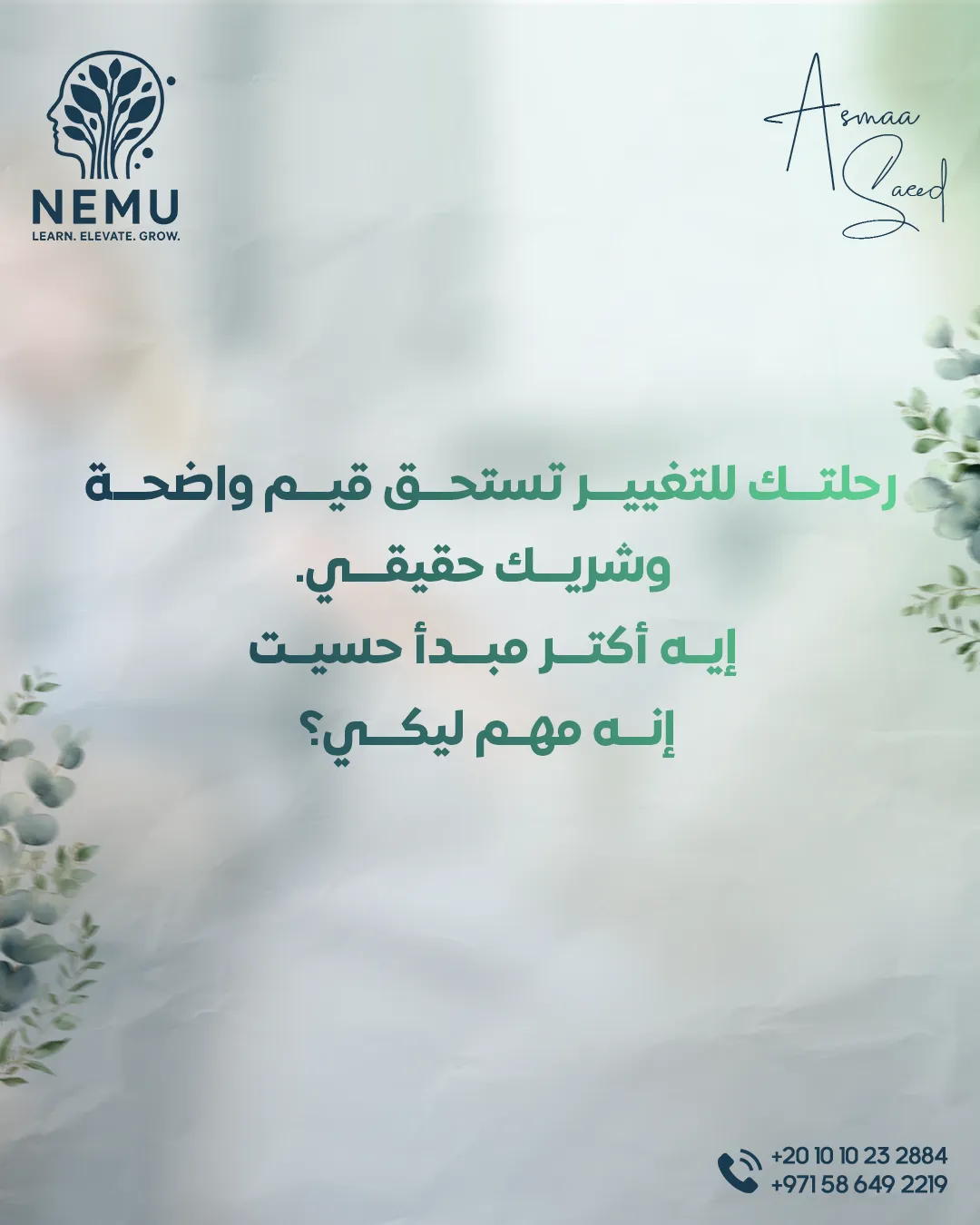 د. أسماء سعيد — 1