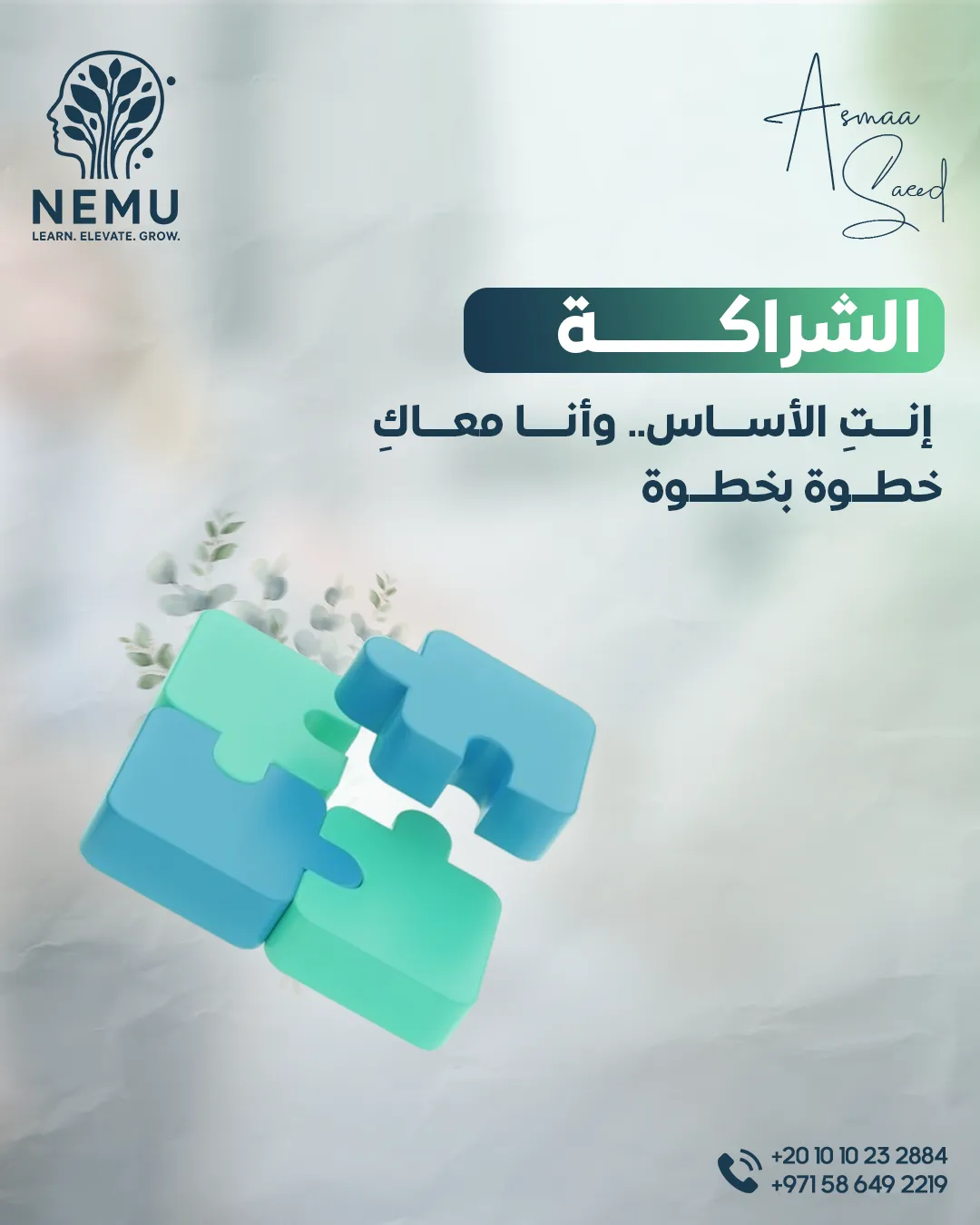 د. أسماء سعيد — 3