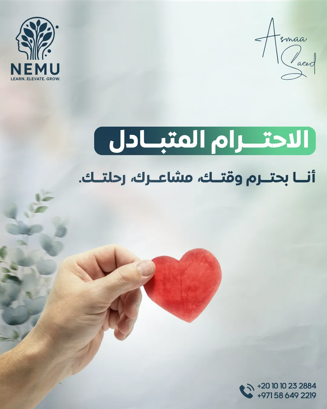 د. أسماء سعيد — 4