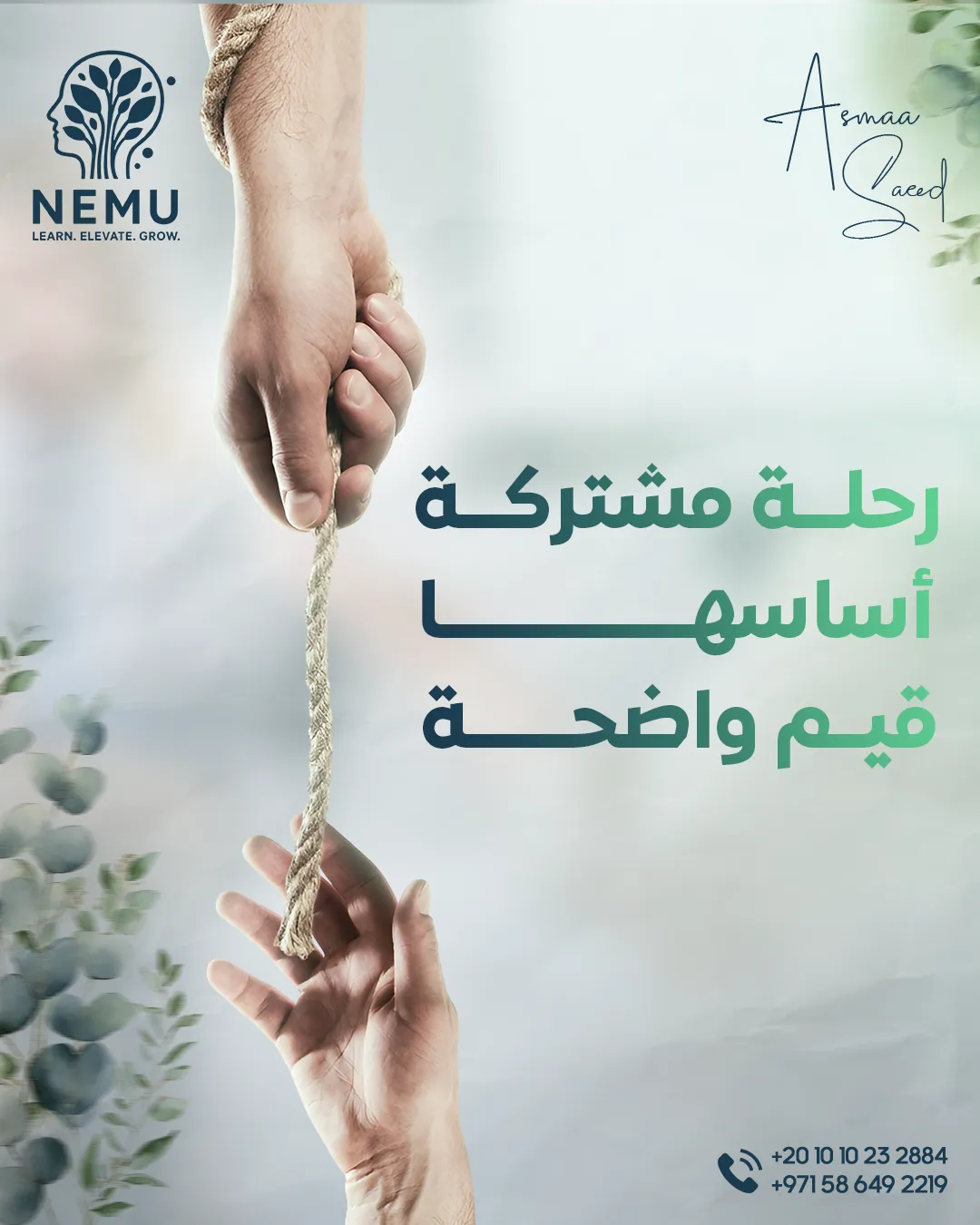 د. أسماء سعيد — 6