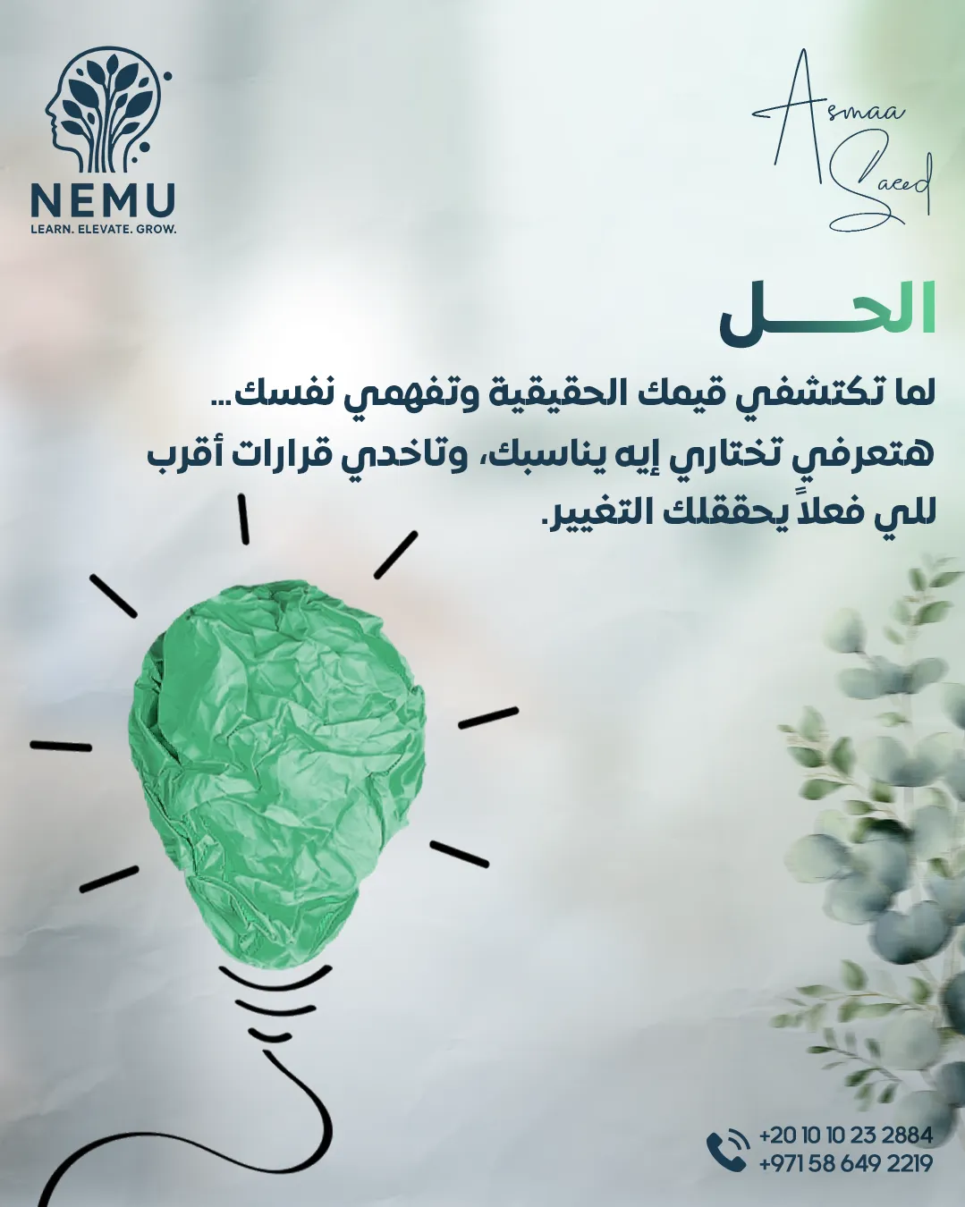 د. أسماء سعيد — 11