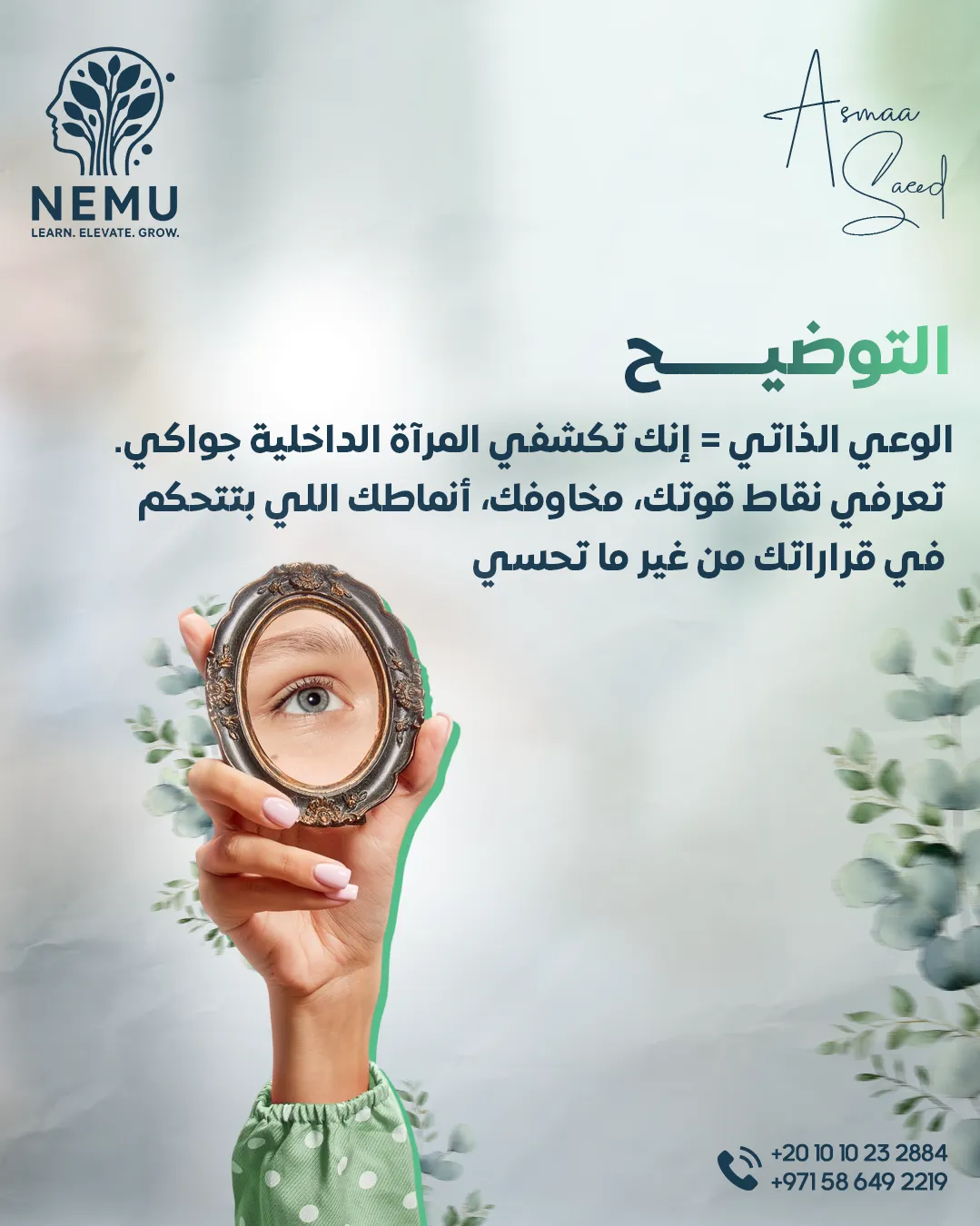 د. أسماء سعيد — 15