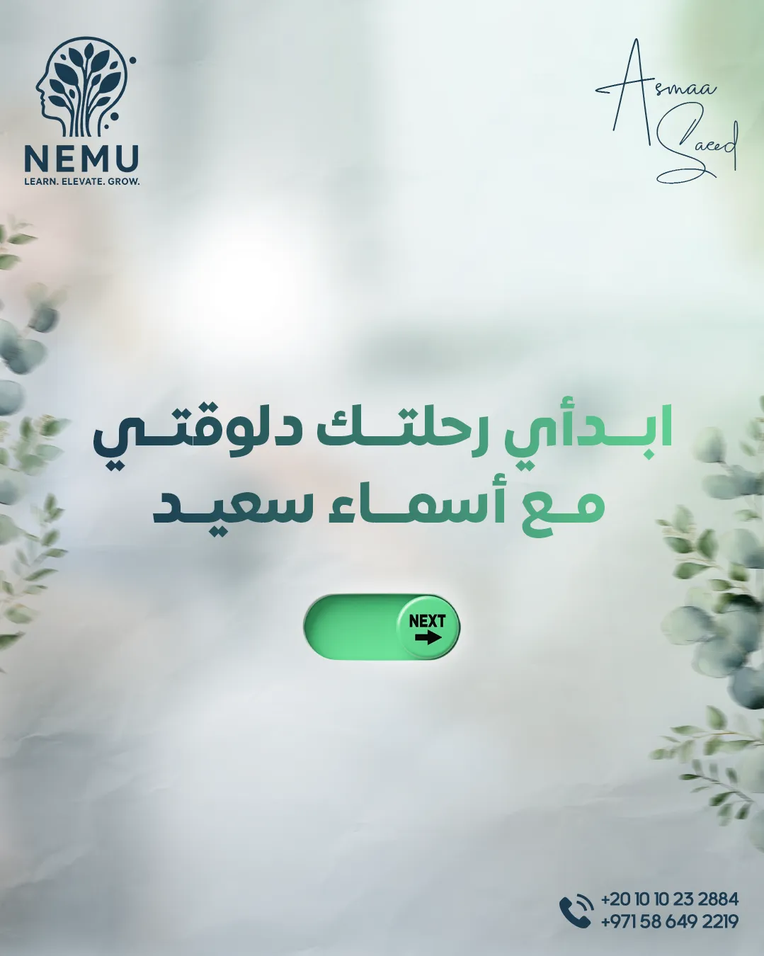 د. أسماء سعيد — 16
