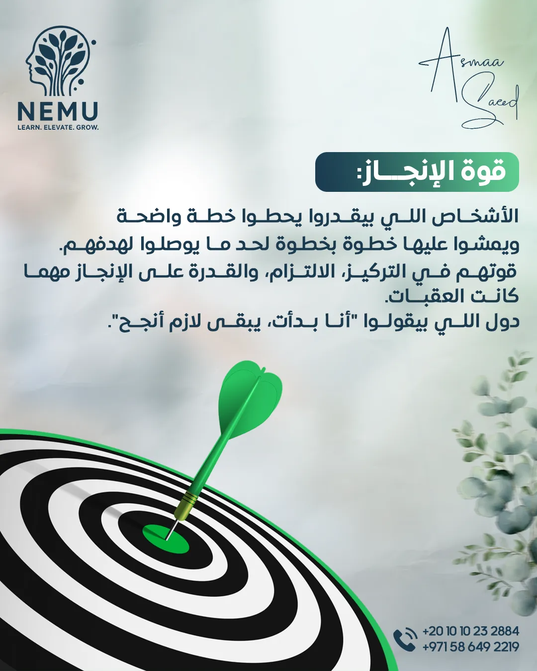 د. أسماء سعيد — 19