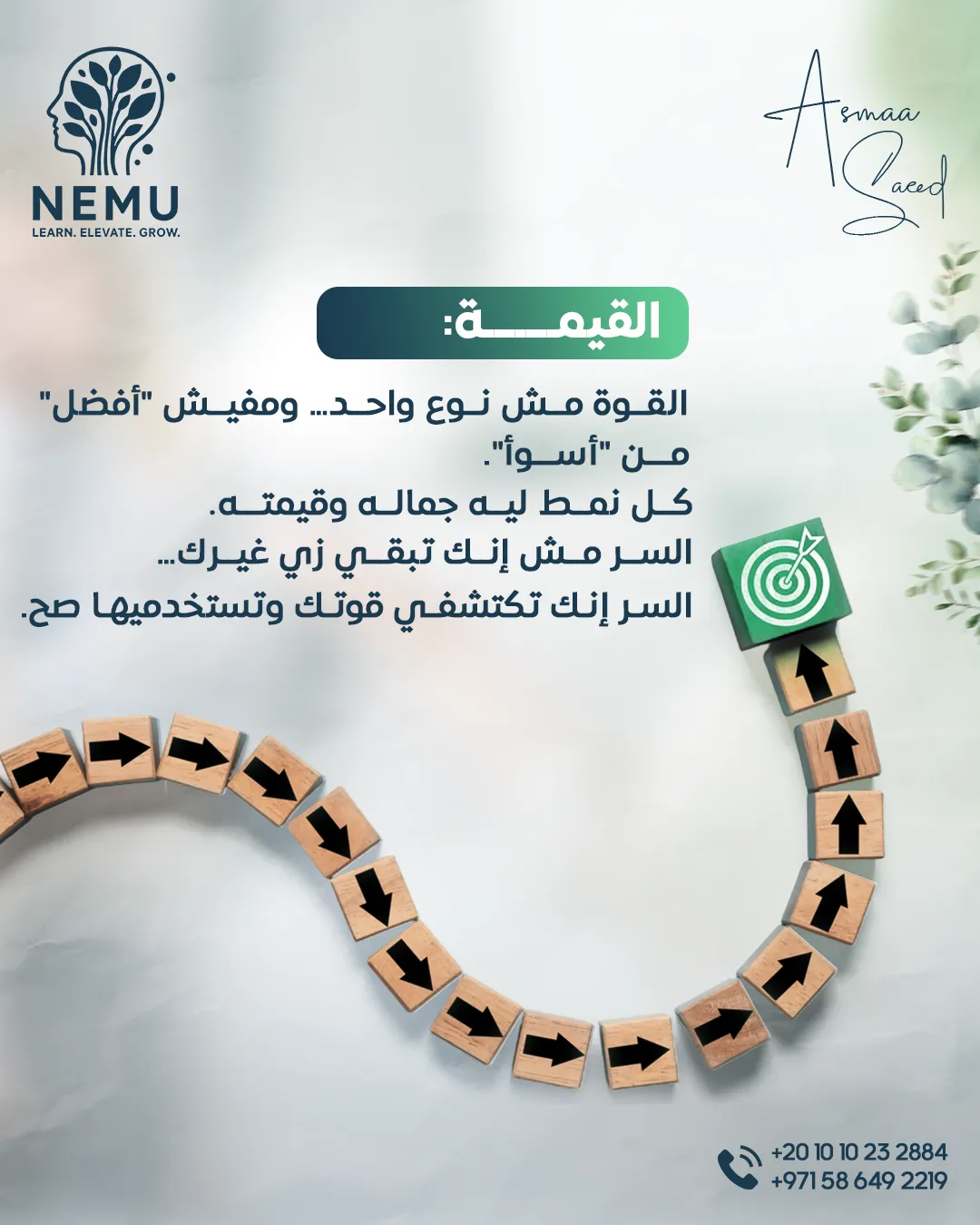 د. أسماء سعيد — 22