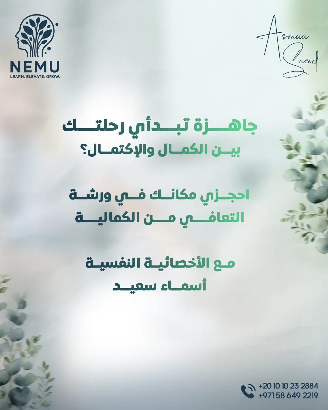د. أسماء سعيد — 29