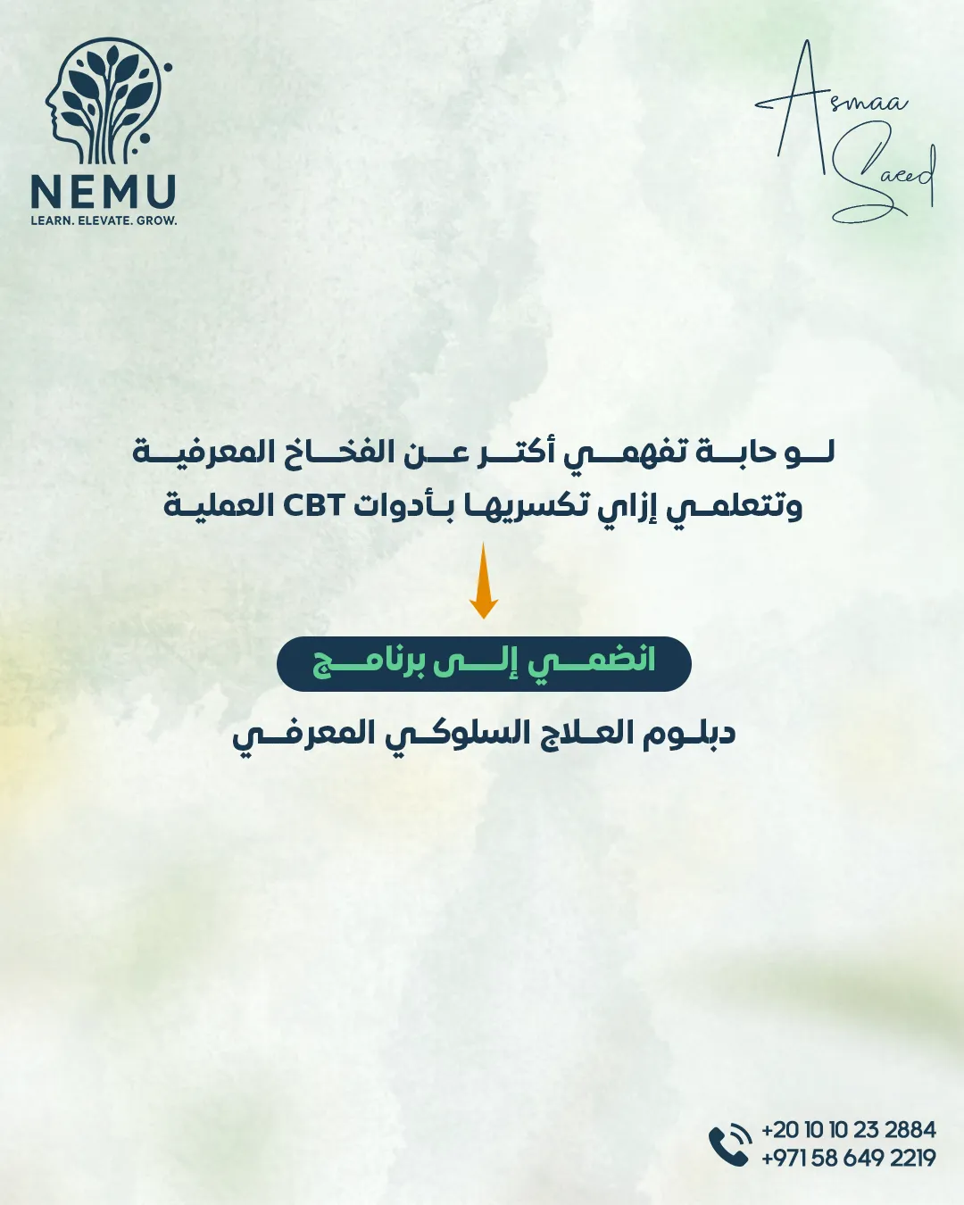 د. أسماء سعيد — 51