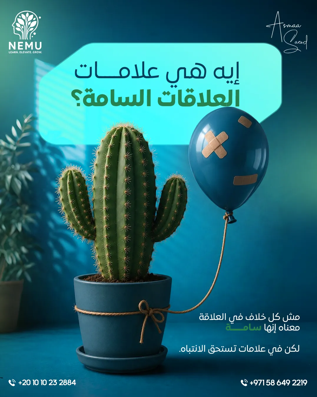 د. أسماء سعيد — 108
