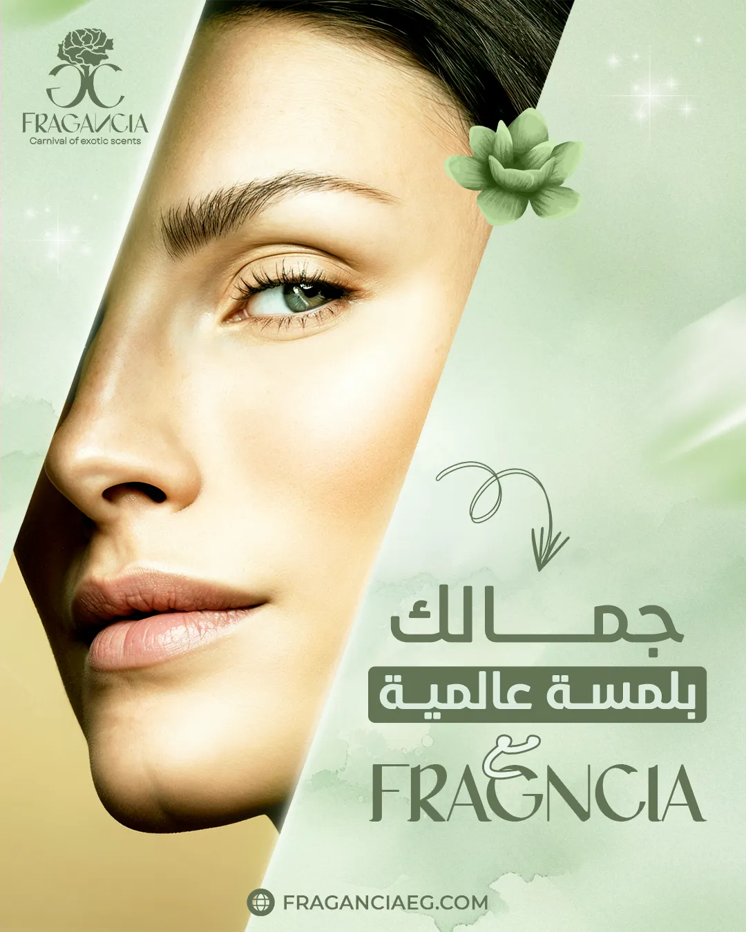 فراجانسيا — المحتوى — 4
