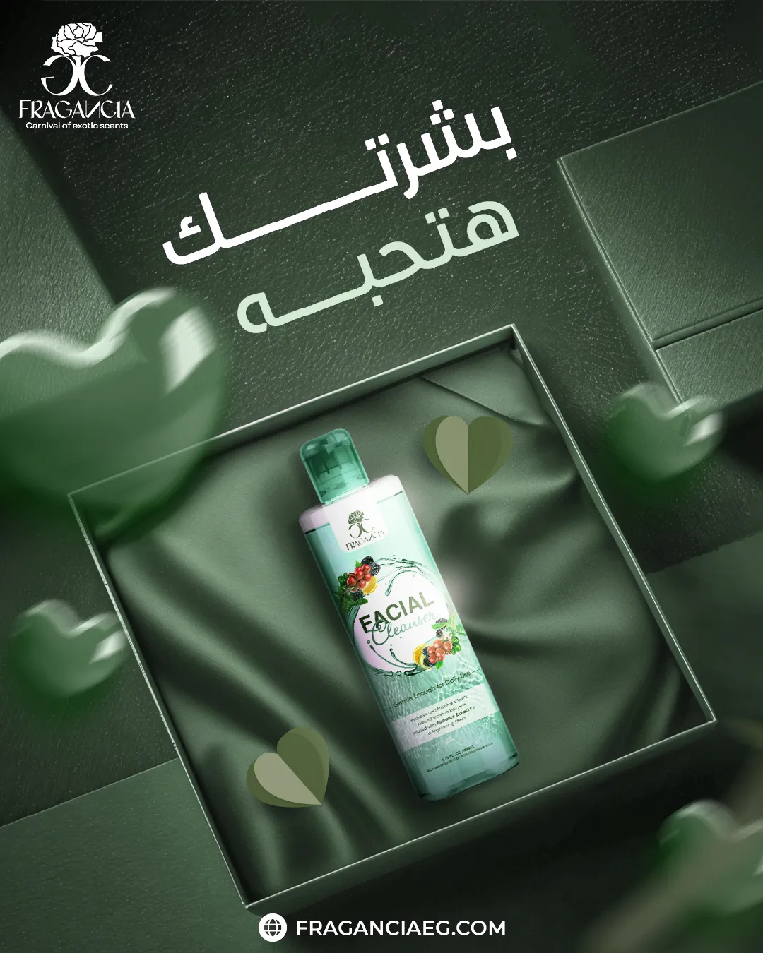 فراجانسيا — المحتوى — 7