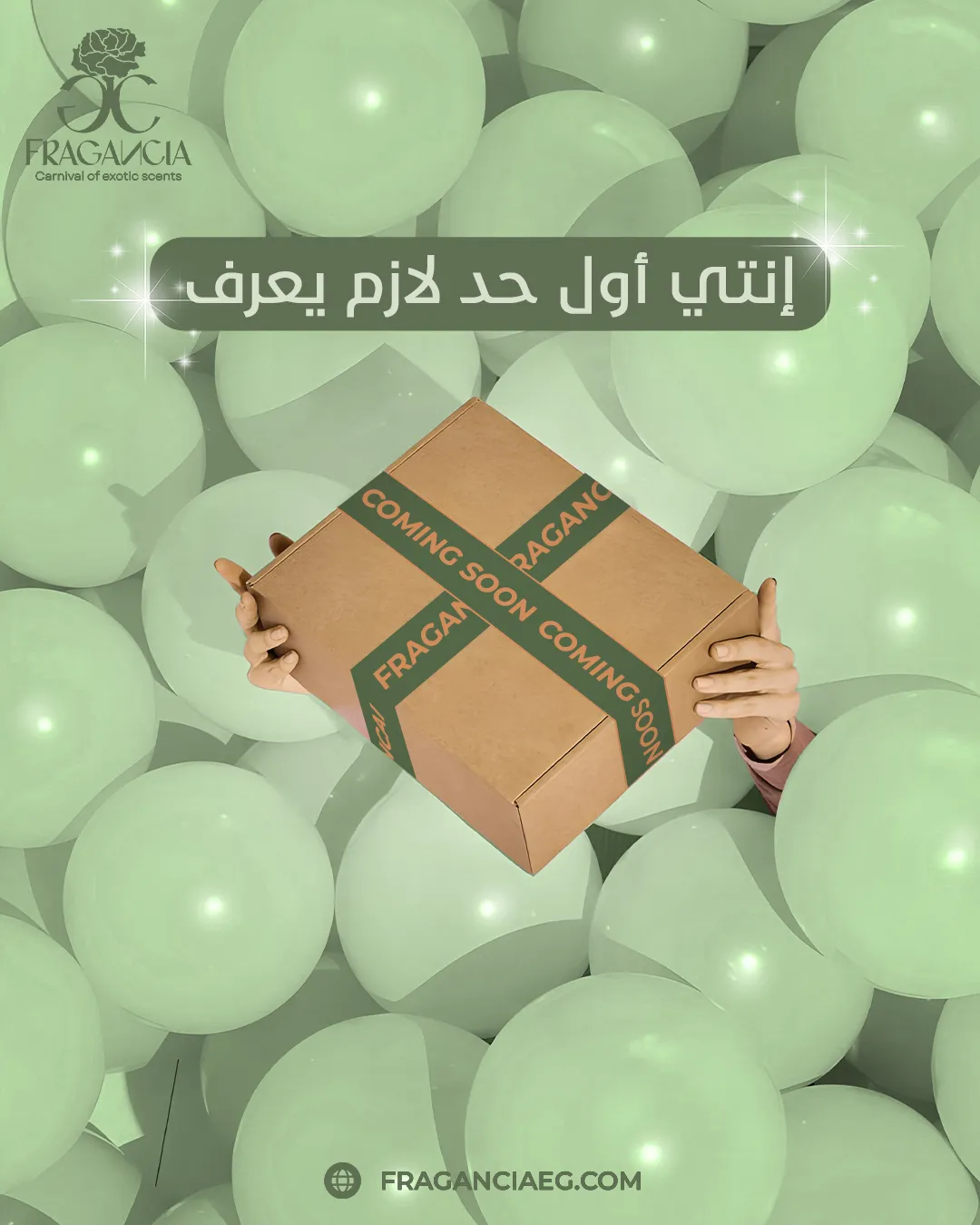 فراجانسيا — المحتوى — 13