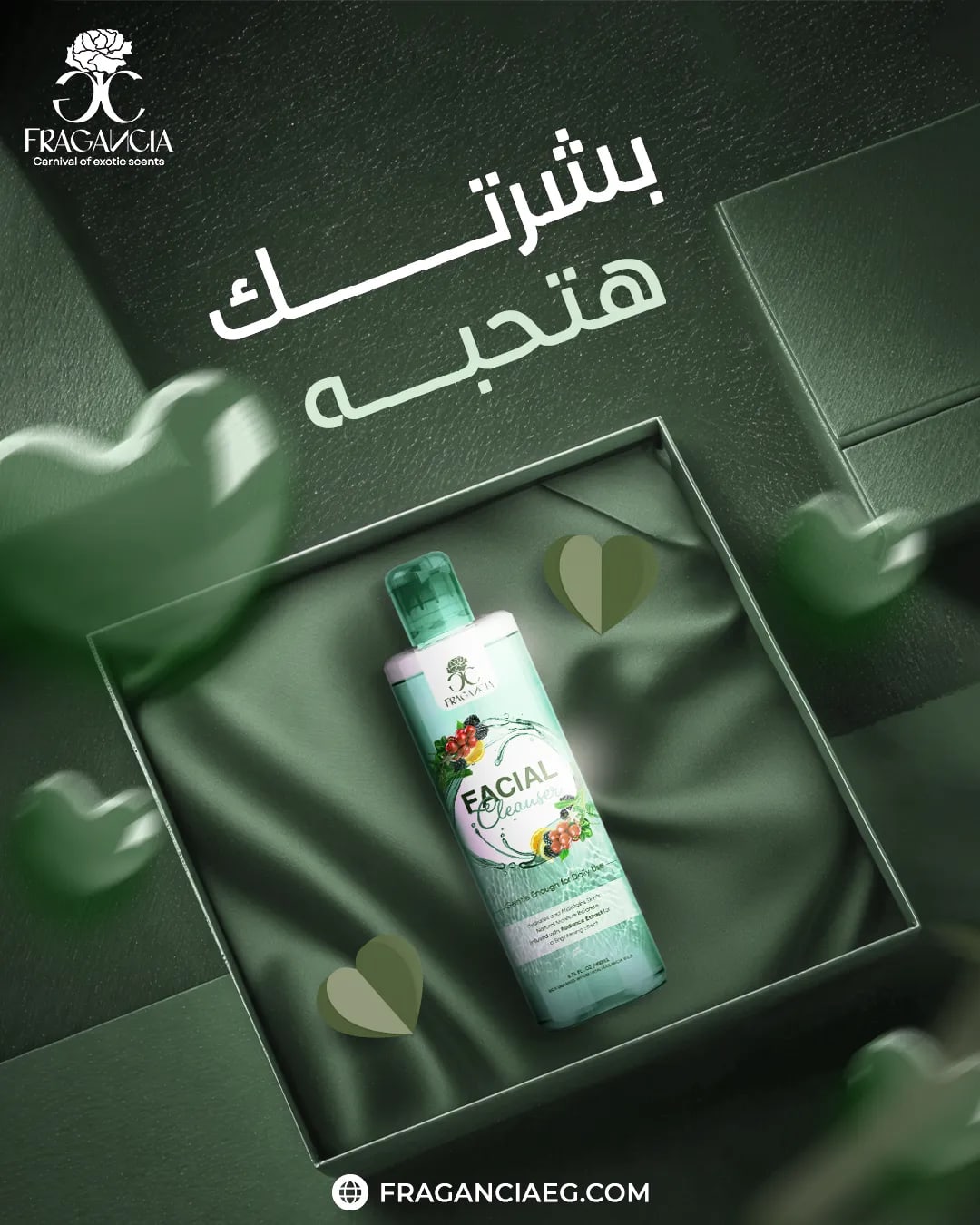 فراجانسيا — المحتوى